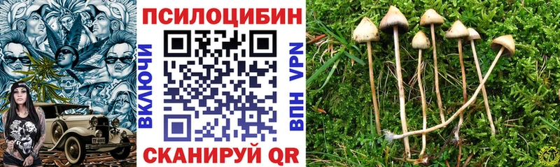 купить наркотики сайты  Абаза  Псилоцибиновые грибы ЛСД 